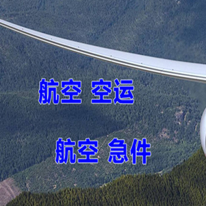 武汉机场物流快递-选东方航空和上海航空
