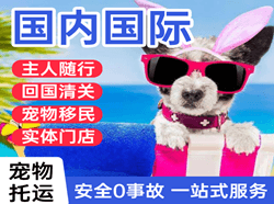 武汉机场物流国际宠物托运 【国